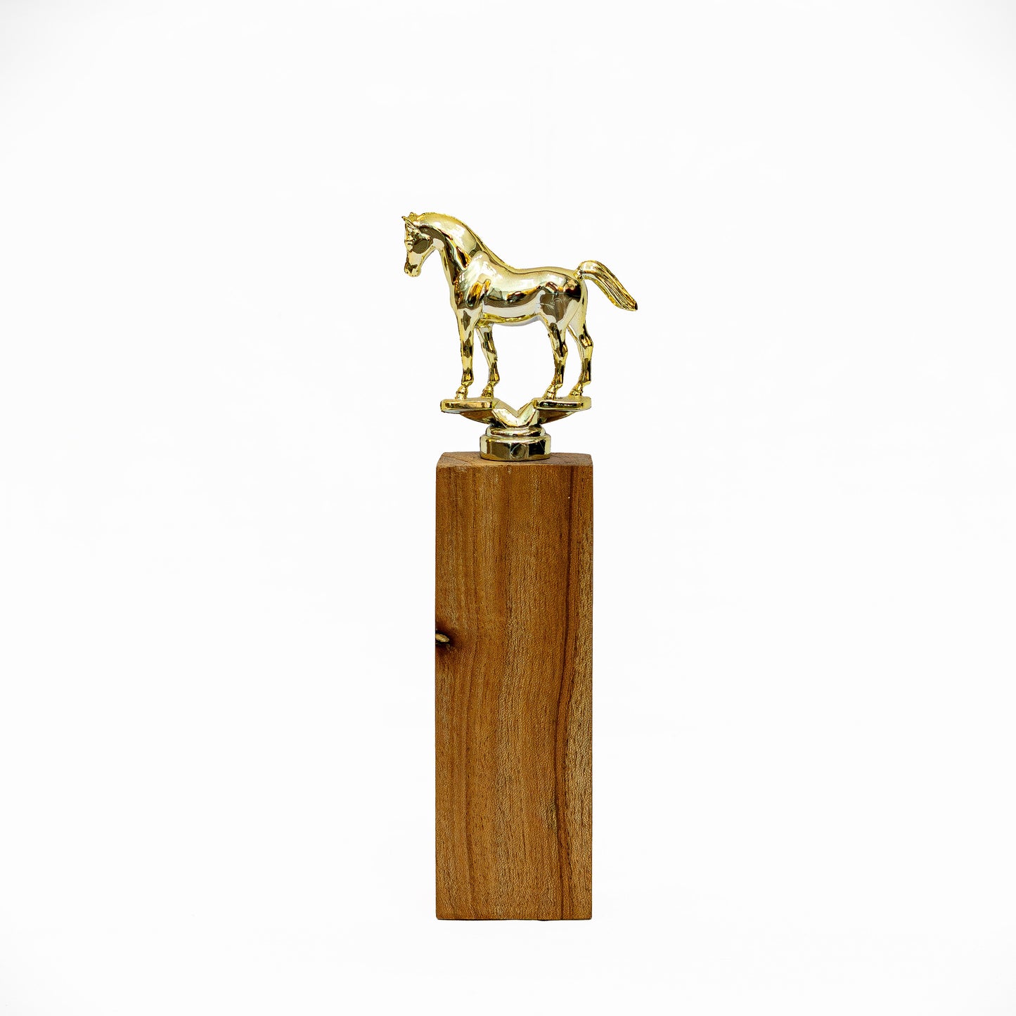 Trofeo "Caballo de Honor"