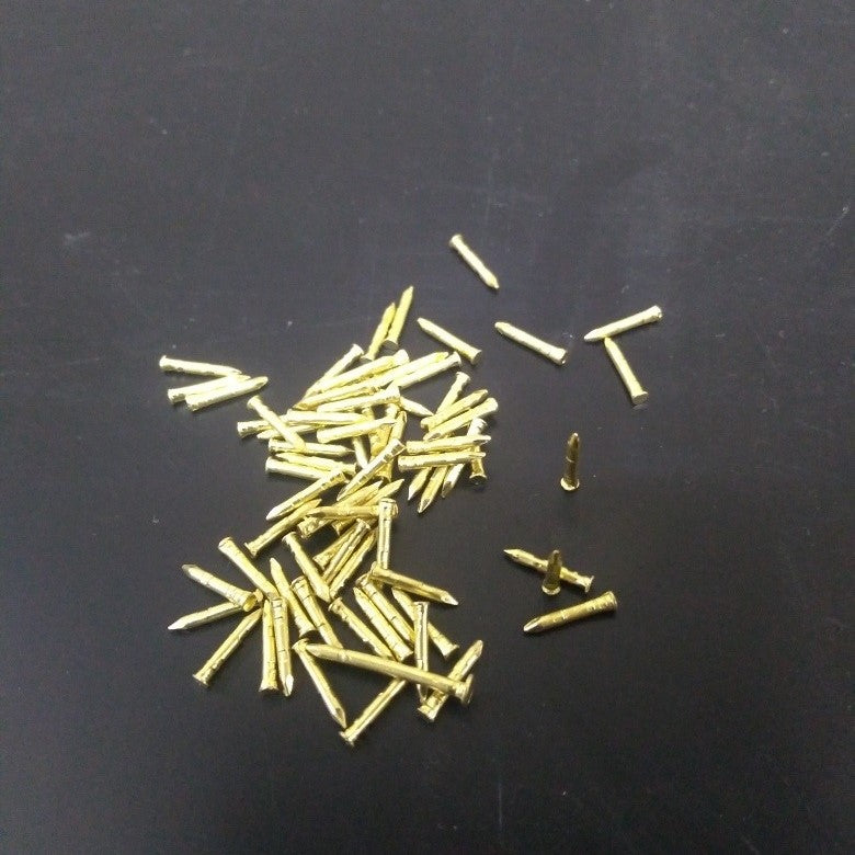 Clavito Especial/ Pack de 100 unid.