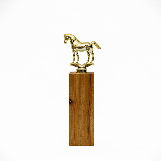 Trofeo "Caballo de Honor"
