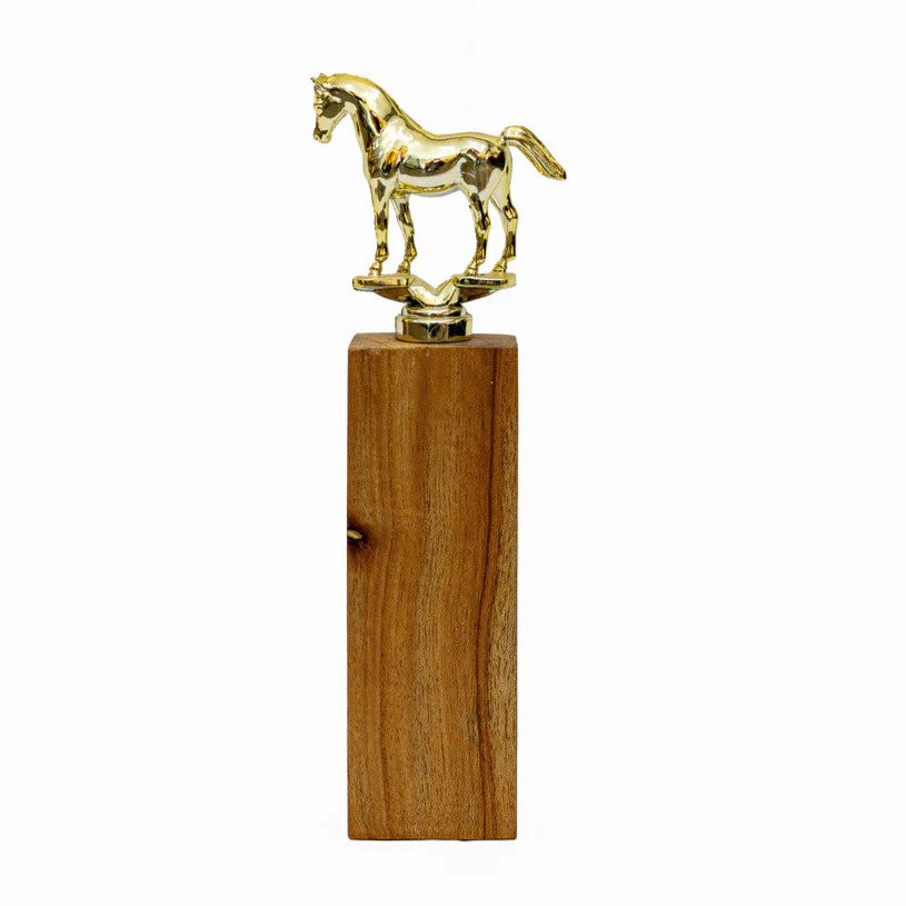 Trofeo "Caballo de Honor"