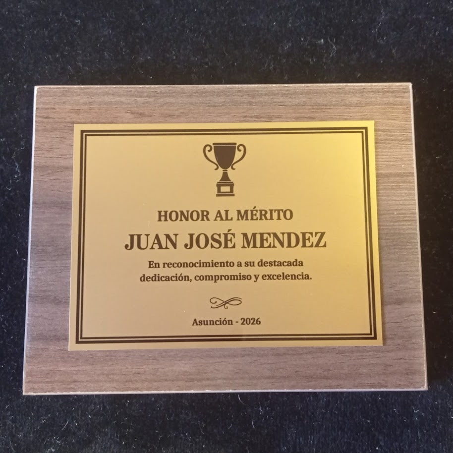 Mini-Placa 15x10 cm